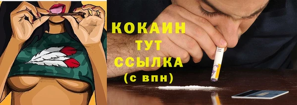 индика Богородицк