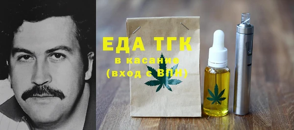индика Богородицк