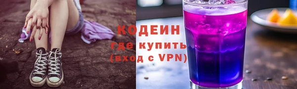 амф Бородино