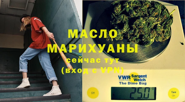 индика Богородицк