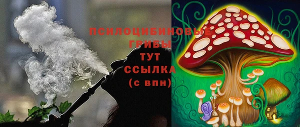 амф Бородино