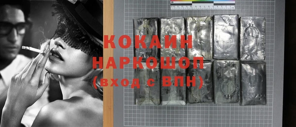 индика Богородицк