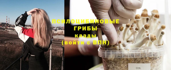 индика Богородицк