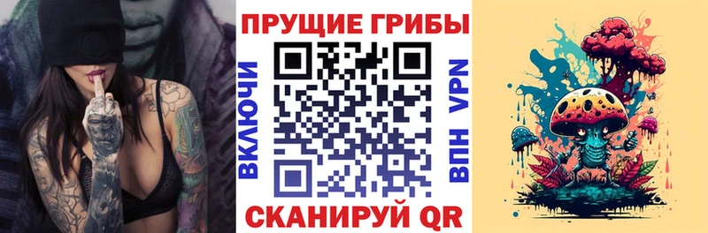Галлюциногенные грибы GOLDEN TEACHER  Мичуринск 